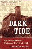 Dark Tide by Steve Peleo Dark Tide by Steve Peleo